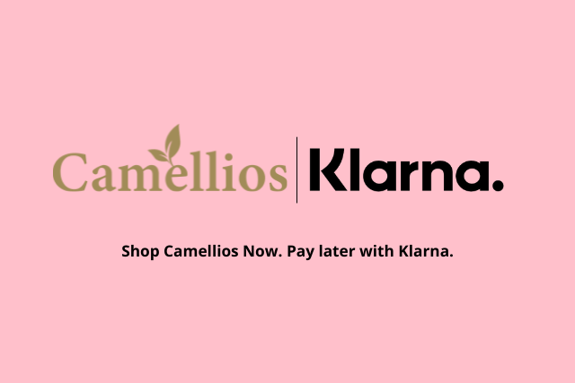 Klarna Payment Options Added - Camellios